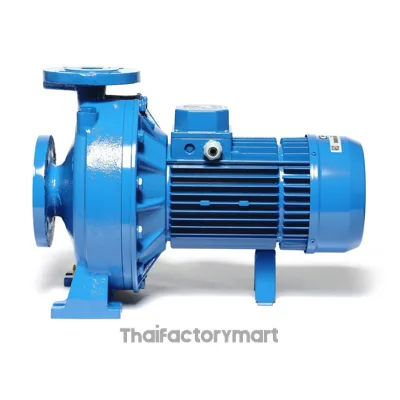EBARA 3D 65-160/15 ปั๊มหอยโข่ง (หน้าแปลน) 3 x 2.1/2 นิ้ว 20.0 HP 380 VAC รูปที่ 2