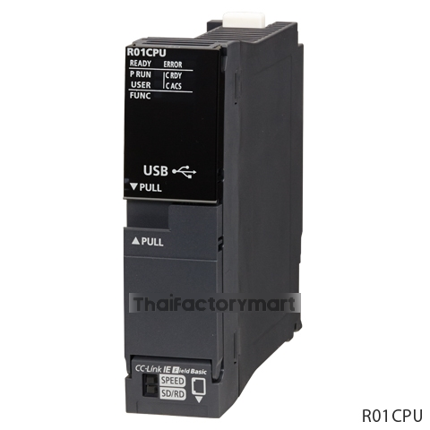 R01CPU