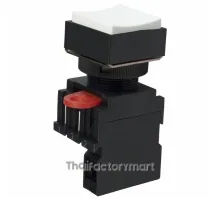 SWITCH PUSH SPST-NO 10A 110V