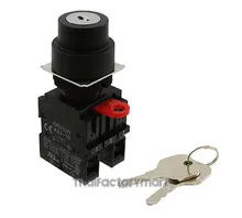 SWITCH KEYLCK 3POS DPST 10A 110V