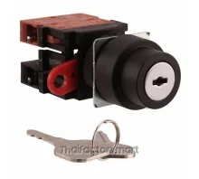 SWITCH KEYLCK 3POS DPST 10A 110V