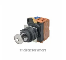 SWITCH KEYLCK 2POS DPST 10A 120V