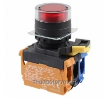 SWITCH PUSH DPST-NO/NC 10A 120V