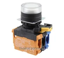 SWITCH PUSH DPST-NO/NC 10A 120V