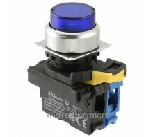 SWITCH PUSH SPST-NO 10A 120V