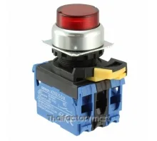 SWITCH PUSH DPST-NO 10A 120V