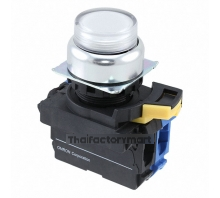 A22NL-RPM-TWA-G100-WC