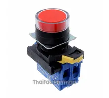 SWITCH PUSH DPST-NO 10A 120V