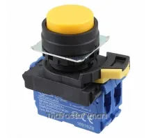 SWITCH PUSH DPST-NO 10A 120V