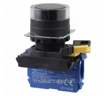 SWITCH PUSH SPST-NO 10A 120V
