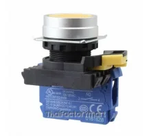 SWITCH PUSH SPST-NO 10A 120V
