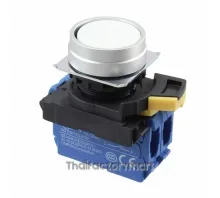 SWITCH PUSH DPST-NO 10A 120V