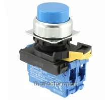 SWITCH PUSH DPST-NO 10A 120V