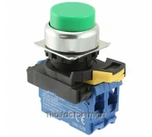 SWITCH PUSH DPST-NO 10A 120V