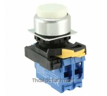 SWITCH PUSH DPST-NO 10A 120V