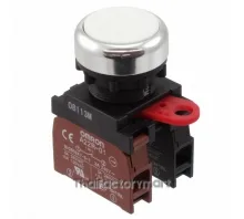 SWITCH PUSHBUTTON DPST 10A 120V