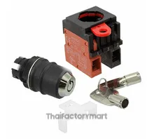 SWITCH KEYLCK 2POS DPST 10A 110V