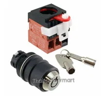 SWITCH KEYLCK 2POS DPST 10A 110V