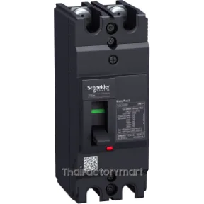 circuit breaker,EasyPact EZC100H ,TMD, 100A ,2 poles 2d