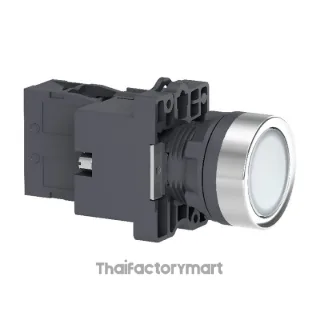 IPB,24VAC/DC.WHITE,1NO