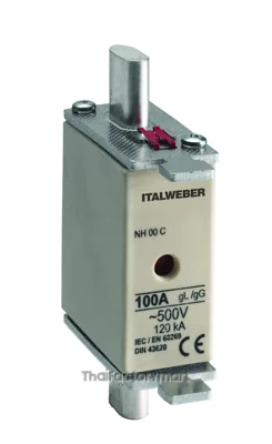 NH blade type fuses, Blade type fuse NH-00 - Type: standard - Curve: gG - Current = 160A - Voltage = 500V